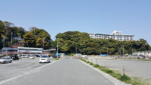 鳥羽彩朝楽１１