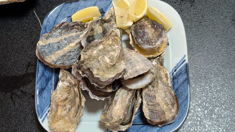 2つり幸・かき食べ放題5