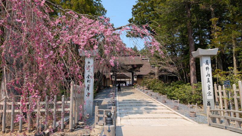 高野山１
金剛峯寺