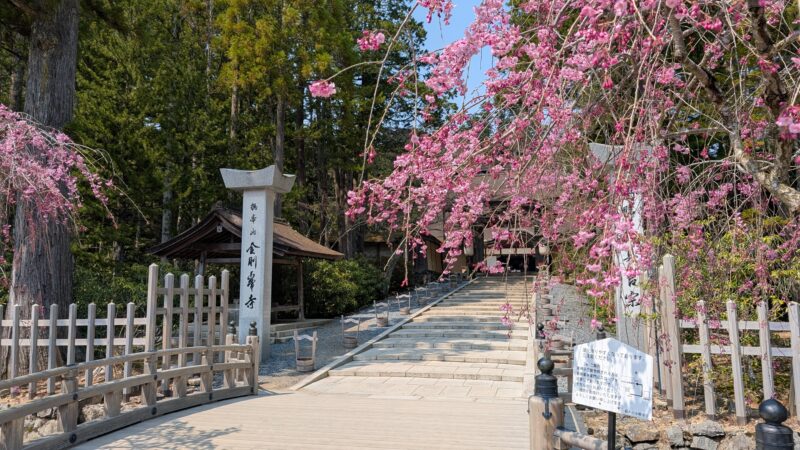 高野山２
金剛峯寺