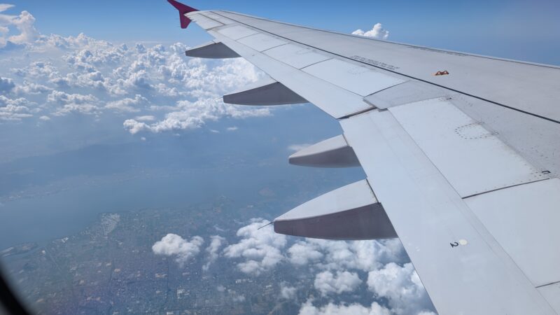 ピーチ・景色250630b