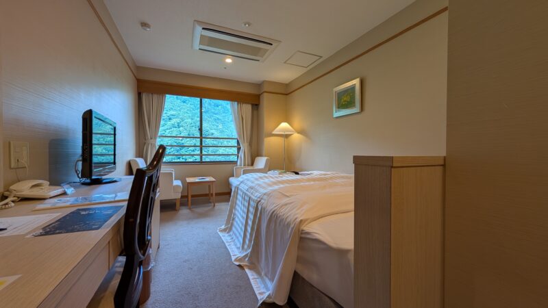 ホテル杉の湯・部屋2