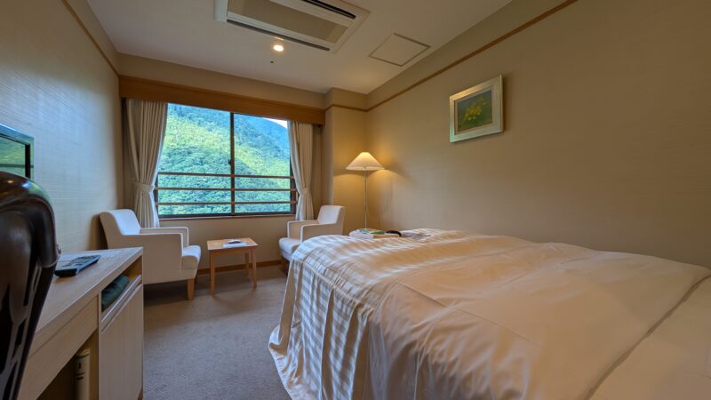 ホテル杉の湯・部屋3