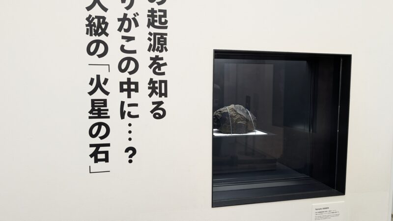 大阪関西万博・日本館2