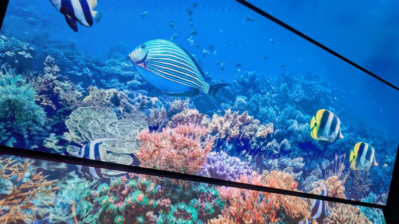 3大阪関西万博・オーストラリアパビリオン5