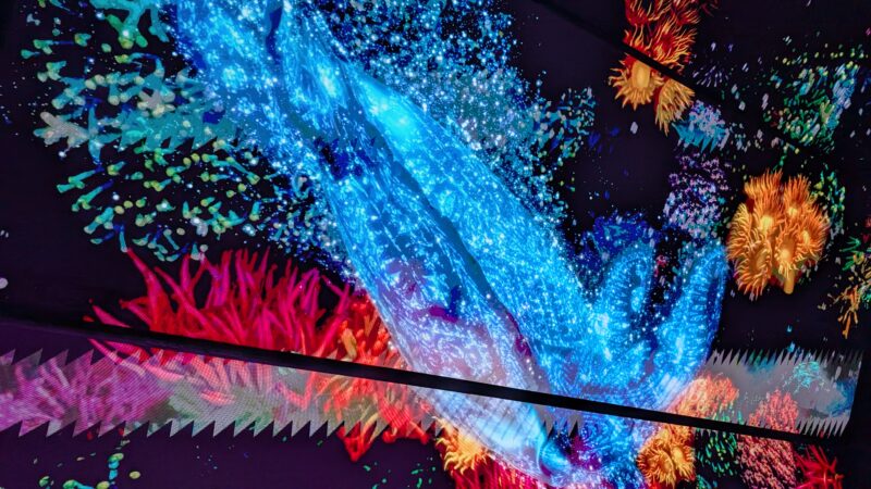 3大阪関西万博・オーストラリアパビリオン6