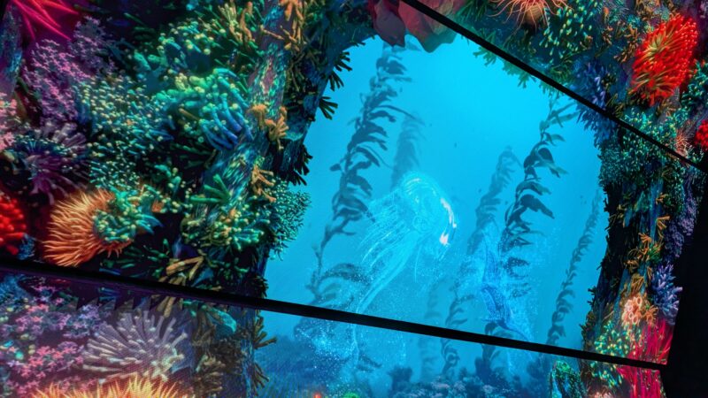 3大阪関西万博・オーストラリアパビリオン7