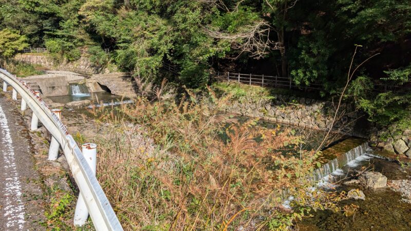 猪谷川水辺公園４
自然プール