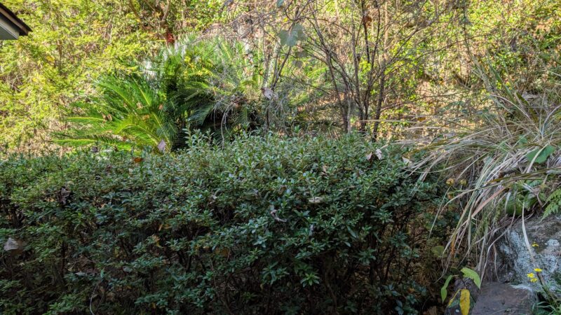 ７白浜彩朝楽・景色１