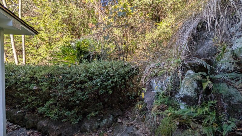 ７白浜彩朝楽・景色２